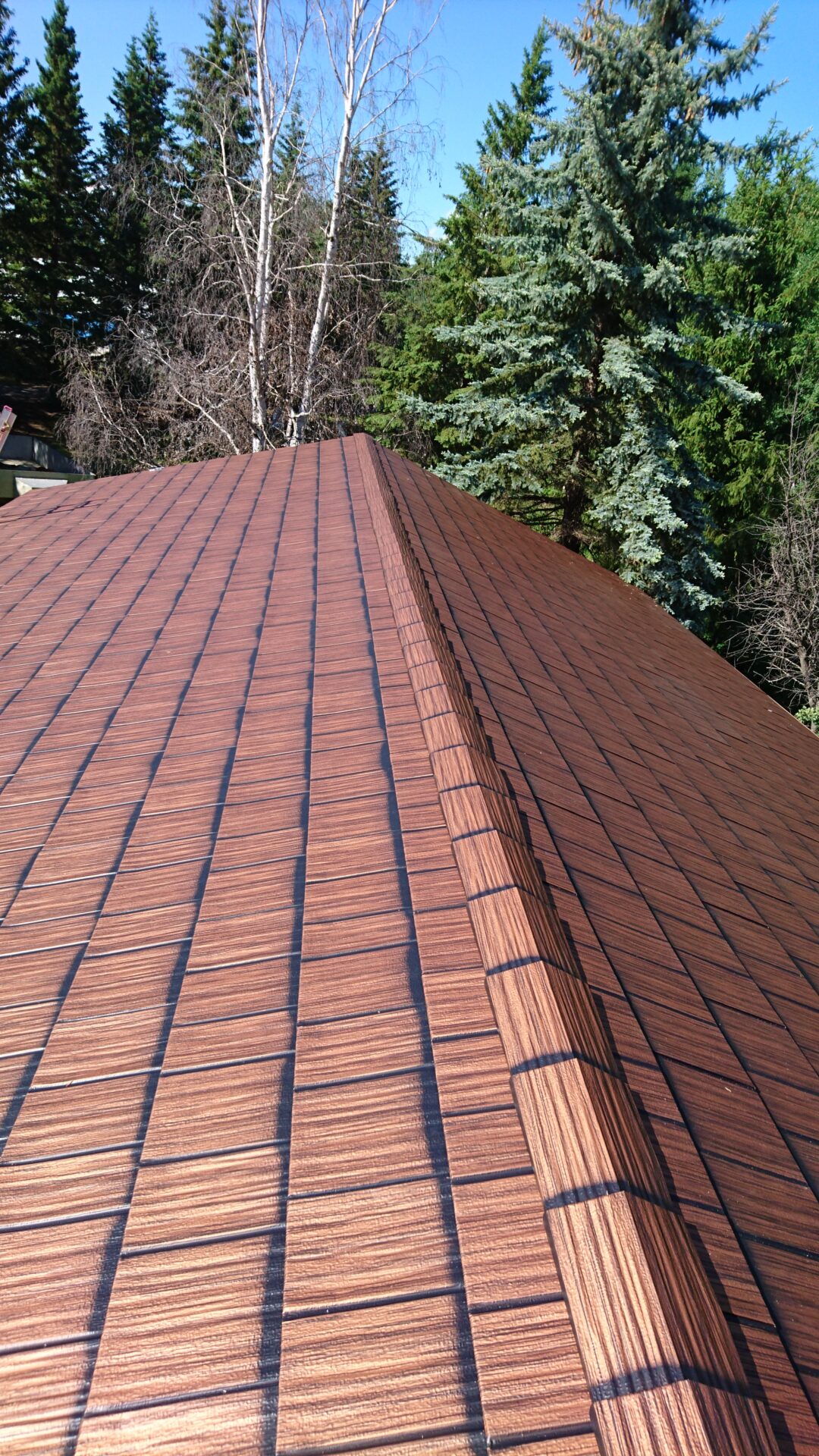 Residential Metal Roofing Gallery In Edmonton I Roof Alberta   DSC 0029 