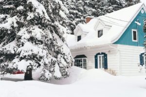 House with nearby trees covered in snow during daytime