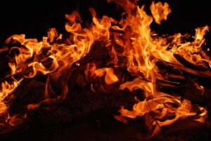 Burning tree